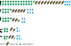 Ile zasobów potrzeba zużyć, by wyprodukować kilogram mięsa z owadów. [EN]