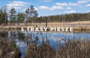 Trasy piesze pod Warszawą - 3 szlaki przez las