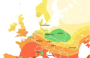 Dlaczego Czarna Śmierć oszczędziła Polskę