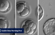 Chiński naukowiec ostrzega przed modyfikowaniem genetycznym ludzkich embrionów