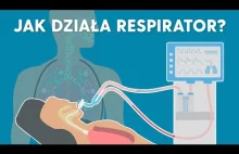 Jak działa respirator? (wyjaśnione