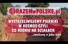 WYSTRZELIWUJEMY PIERNIKI W KOSMOS CZYLI CO ROŚNIE NA DZIAŁACH