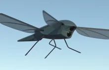 Drony-ważki zmienią pole walki. Bezzałogowce błyskawicznie się kurczą
