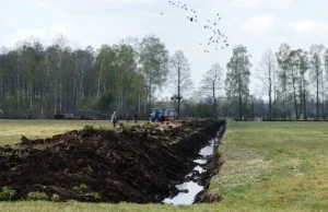 Nad Biebrzą osuszają łąki, 10 dni po pożarze