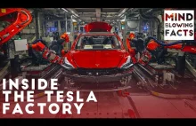 Wewnątrz fabryki Tesla