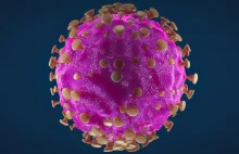 Czeski minister zdrowia: Niska odporność stadna na koronawirusa