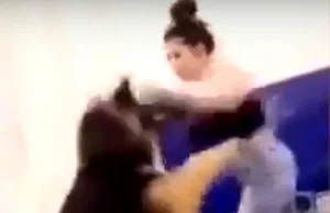 USA. Kobieta boksowała psa. Policja wszczęła śledztwo