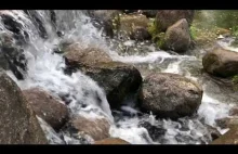 Relaxing Sound of a Small Stream for Stress