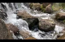 Relaxing Sound of a Small Stream for Stress 30 min Relax