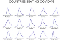 Ciekawe wykresy pokazujące jak kraje radzą sobie z koronawirusem