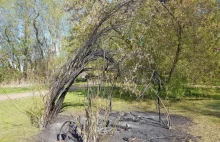 Zatrzymano wandali, którzy zdemolowali zieleniec w Oliwie