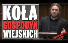 Koła Gospodyń Wiejskich w Sejmie – Skrót debaty