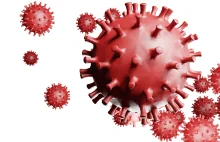 Lekarze, WHO i ONZ ostrzegają: pandemii COVID-19 towarzyszy „infodemia”