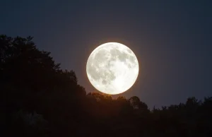 Osobliwe odkrycie na Księżycu. Zmusza badaczy do ponownej weryfikacji wiedzy.