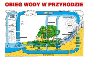 Mit znikającej wody i donkiszoci ekologii