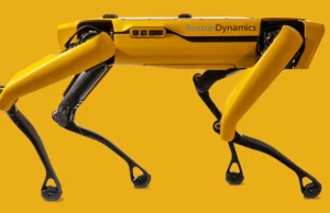 Robot Boston Dynamics patroluje park i ostrzega spacerowiczów