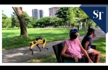 W Singapurze roboty rozpoczęły patrolowanie parków