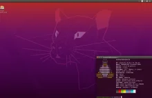 A to ciekawe! Już możemy instalować Ubuntu 20.04 z Unity!