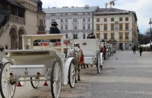 Kraków: Zarzuty dla dorożkarza w związku ze śmiercią konia na Rynku
