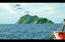 Wyspa WĘŻY - Ilha da Queimada Grande