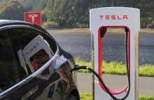 Tesla wyraźnym liderem sprzedaży samochodów elektrycznych - 1 kwartał 2020