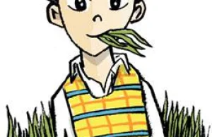 Japonia panikuje przez pokolenie "facetów żywiących się trawą"