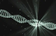 Pierwszy test CRISPR na koronawirusa zatwierdzony w USA! - Artykuły