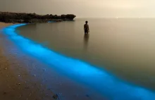 Brak turystów pozwolił na ponowne pojawienie się bioluminescencyjnych mikroalg