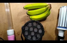 Jak przetestować, czy lampa bakteriobójcza emituje UVC? Bananami ( ͡° ͜ʖ ͡°)