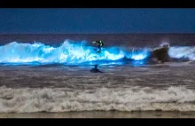 Algi bioluminescencyjne na plaży w Californi