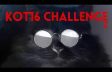 #Hot16challenge2 - Puszek Kot16challenge 2020