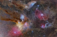 Gwiazdozbiór Skorpiona - bogactwo mgławic i gromad gwiazd