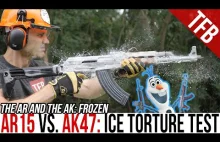 AR-15 vs. AK-47: test po zmrożeniu suchym lodem