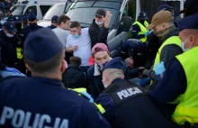 Senator KO zatrzymany przez policję na manifestacji