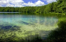 Woda w tym polskim jeziorze jest tak czysta, że światło dociera na głęb. 15m
