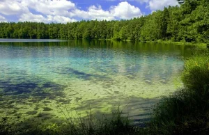 Woda w tym polskim jeziorze jest tak czysta, że światło dociera na głęb. 15m