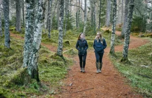 Las przedłuży Ci życie i pomoże w walce z depresją! Nie betonujmy Polski