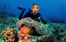 Jak sadzić / jak rosną koralowce