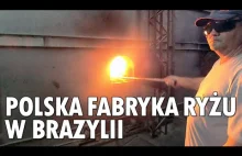 Jak powstaje ryż? Wizyta w polskiej fabryce ryżu w Brazylii