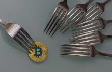 Hard fork - co to jest? | Kryptowaluty | Bitcoin
