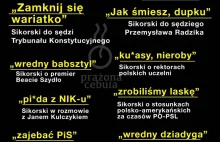 TOP 10 wypowiedzi Radosława Sikorskiego - Portal Prażona Cebula nazywa to hejtem