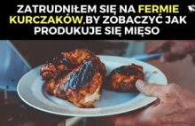 Zatrudniłem się na fermie kurczaków, by zobaczyć jak produkuje się mięso