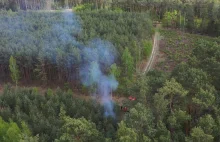 Policja namierzyła podpalacza lasu przy pomocy drona