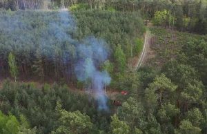 Policja namierzyła podpalacza lasu przy pomocy drona