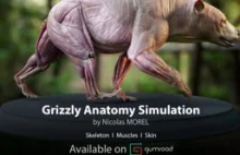 Symulacja anatomii niedźwiedzia grizli