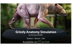 Symulacja anatomii niedźwiedzia grizli