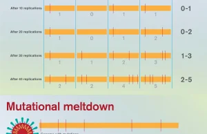 Zapadka Mullera, czyli dlaczego wirus SARS Cov2 "zniknie" w wyniku mutacji