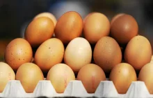 Branża ostrzega: jesienią jaja będą drogie