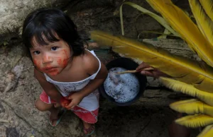 Brazylia: Rdzenni mieszkańcy puszczy Amazońskiej umierają na koronawirusa.
