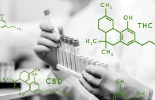 ALTERNATYWA DLA KONWENCJONALNYCH ANTYBIOTYKÓW